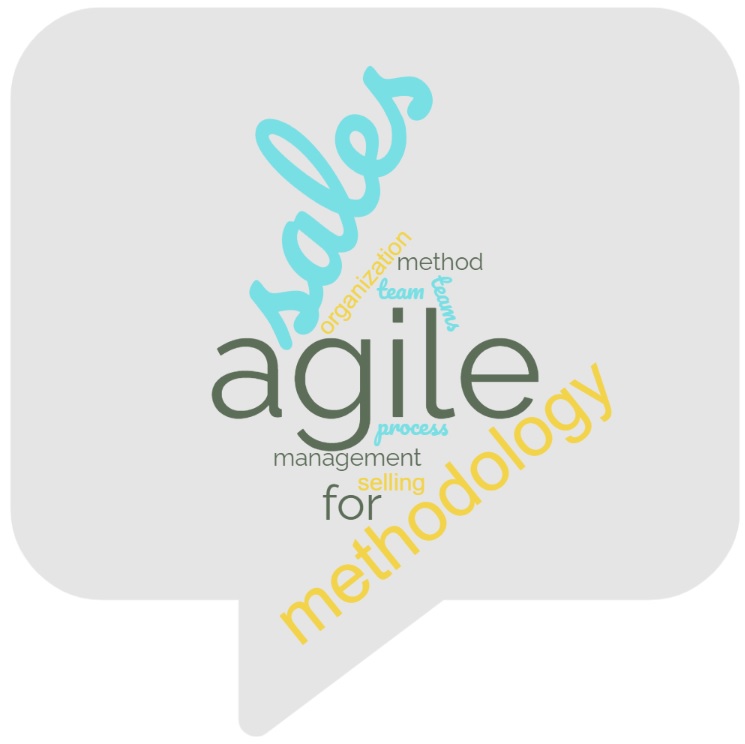 agile sales manifesto explained
