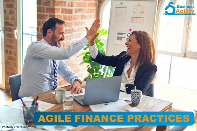 Agile Finance Practices by Theme